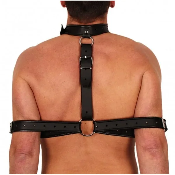 Next Product Image