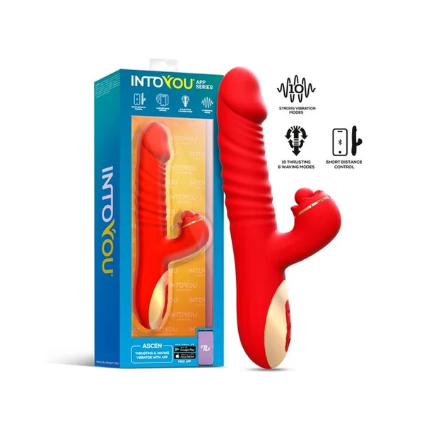 Previous Product Image
