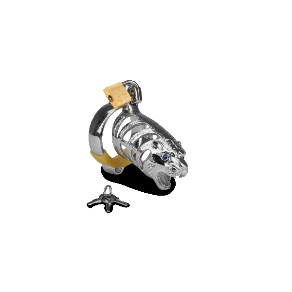 Next Product Image